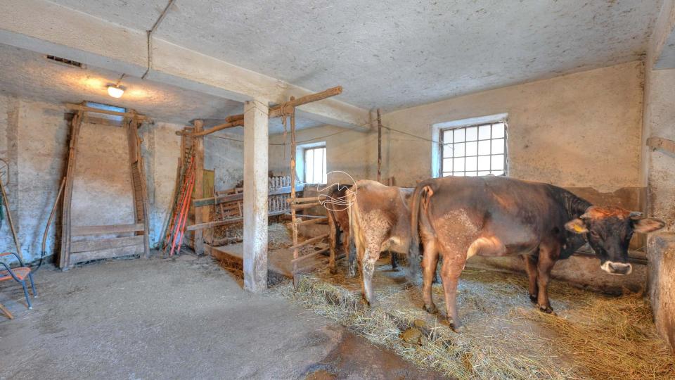 Bauernhaus zum Verkauf in den hügeln von Toscolano Maderno