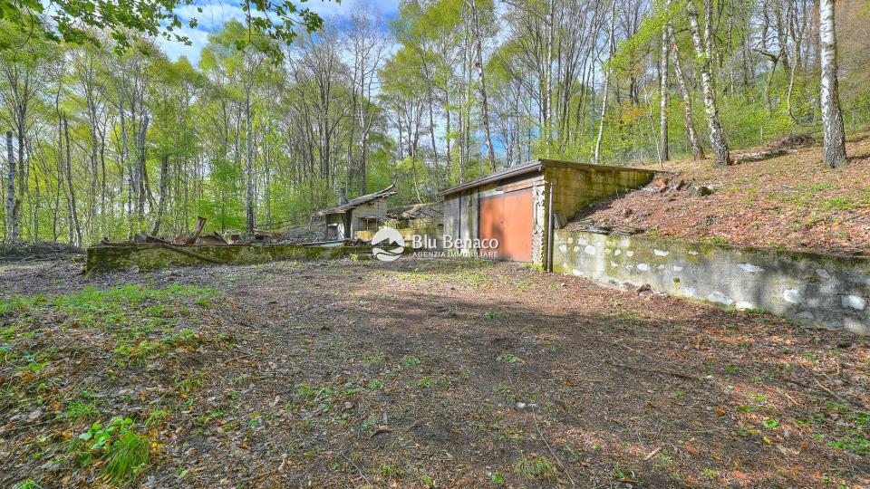 Kleines Haus in den Wäldern von Briano