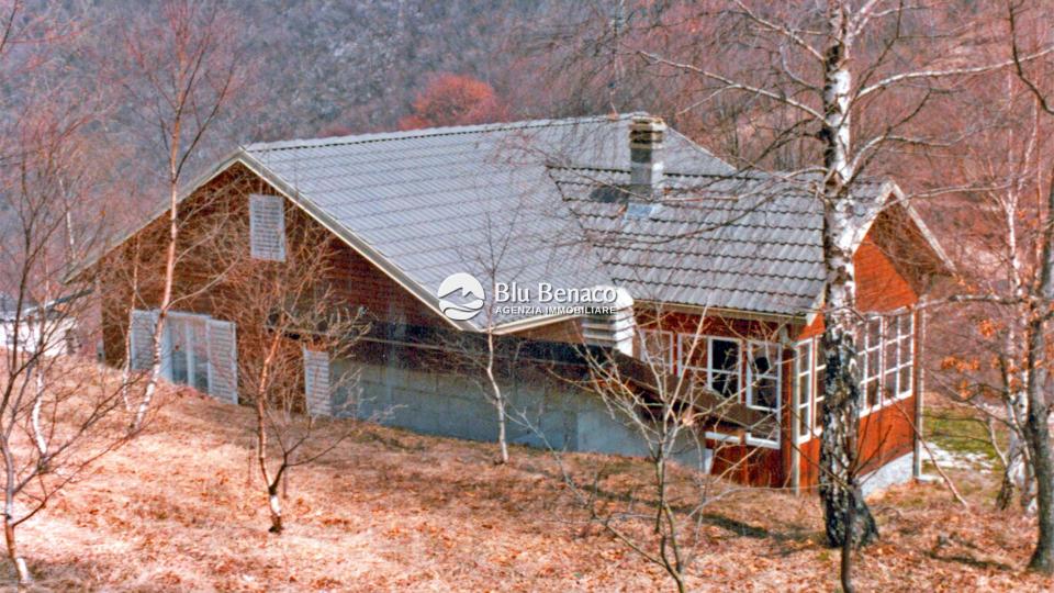 House in the woods of Briano