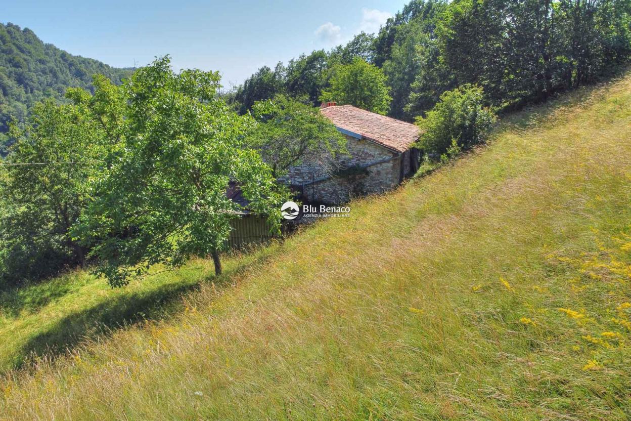 Detached property in Briano
