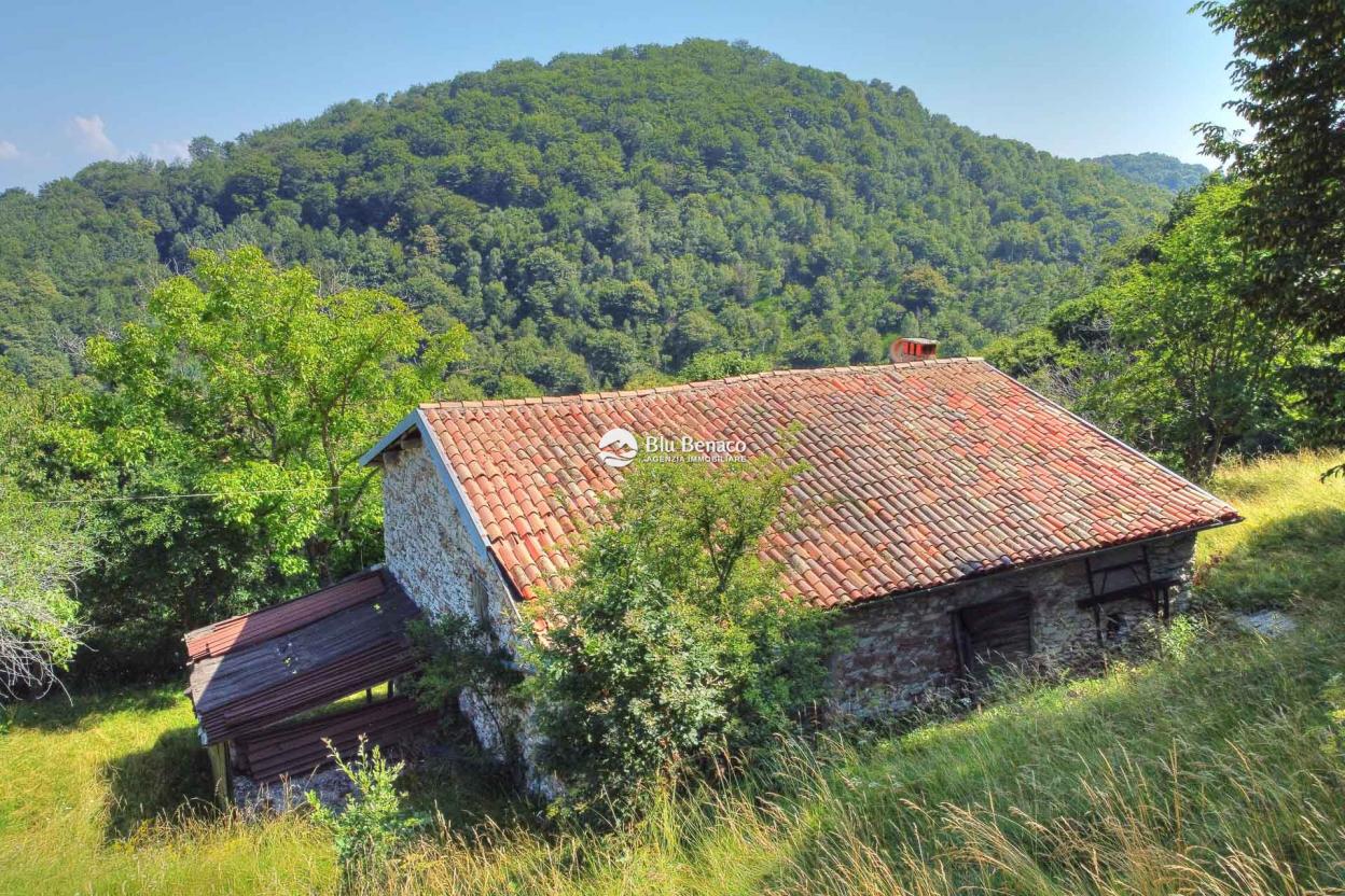 Detached property in Briano