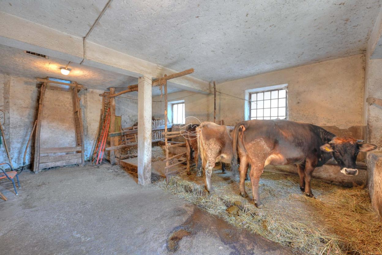 Bauernhaus zum Verkauf in den hügeln von Toscolano Maderno