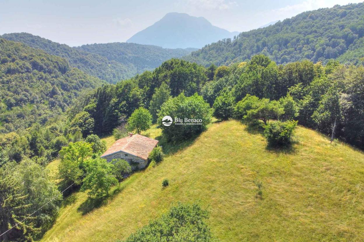 Detached property in Briano