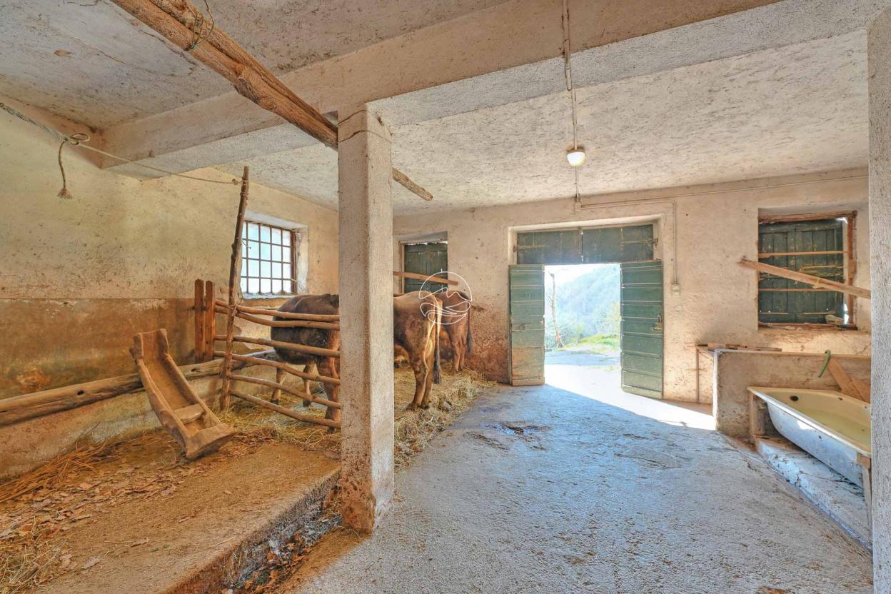 Farmhouse for sale in the hills of Toscolano Maderno